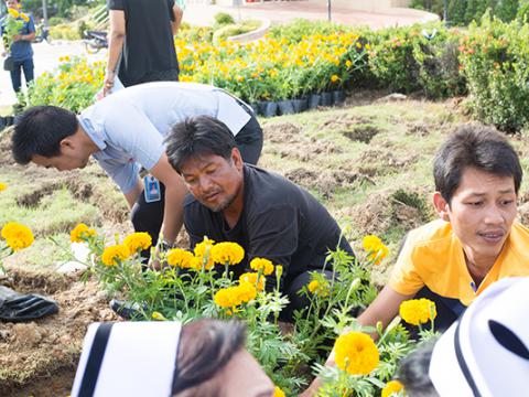 กิจกรรมปลูกต้นดาวเรือง